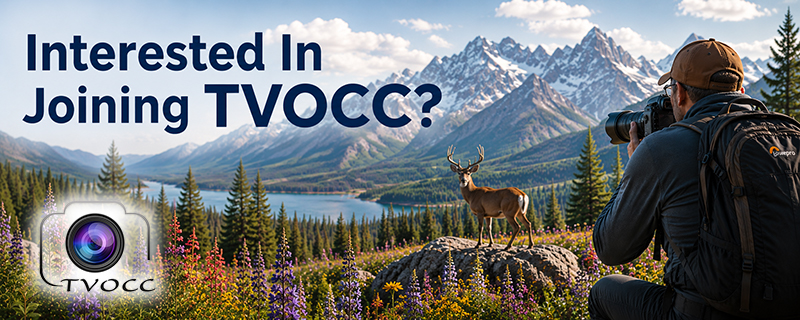 Interested in Joining TVOCC